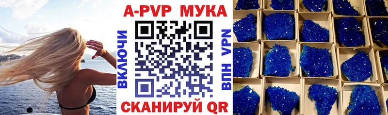 где найти Спасск A-PVP крисы CK