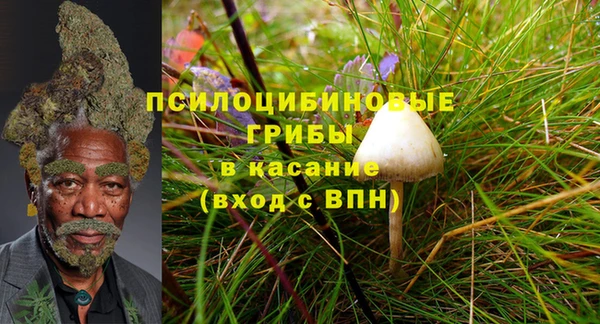 дмт Алзамай